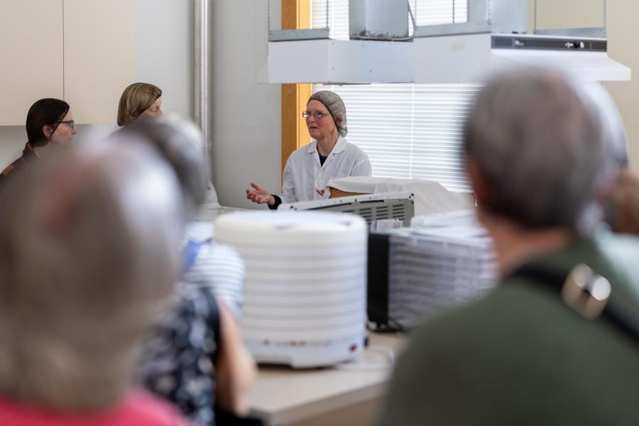 Bachelor of Home Economics 50