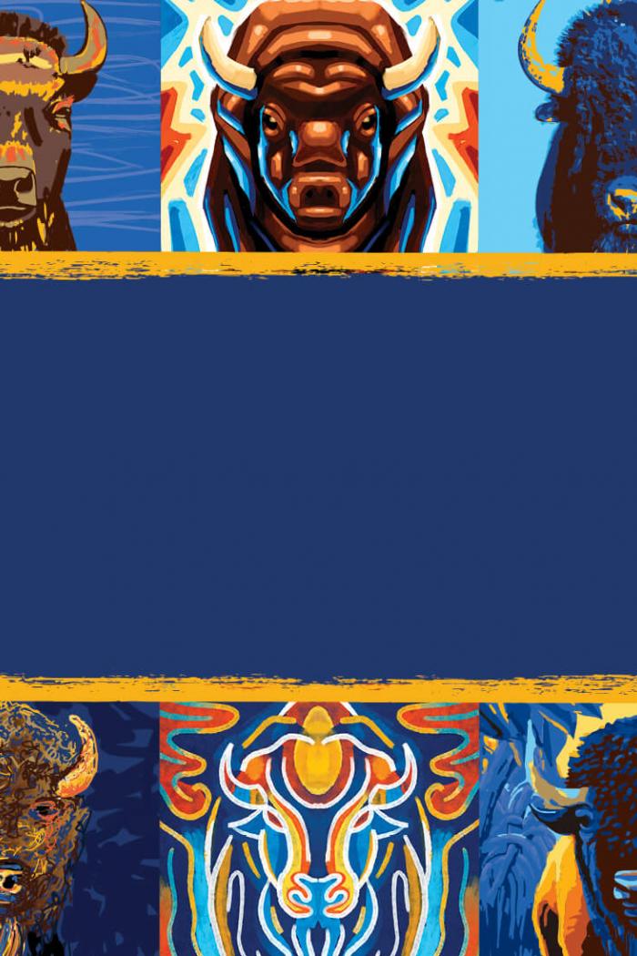 Image of a series of Bison illustrations.