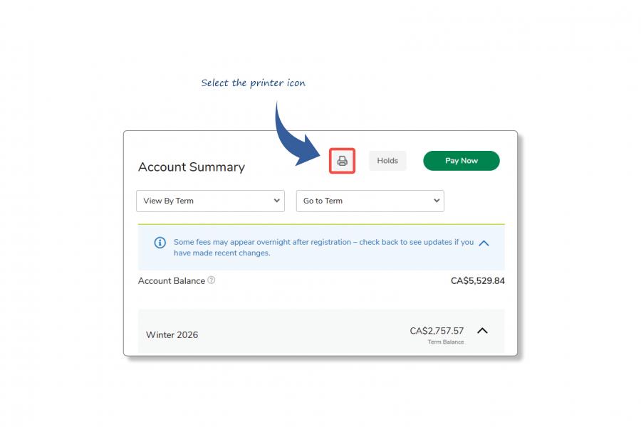 An infographic showing the account summary menu, with an arrow pointing to the printer icon.