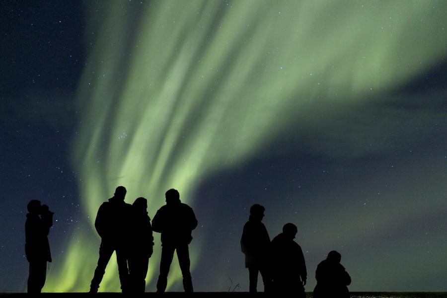 The Northern Lights shine in the sky while silhouettes of people look on.