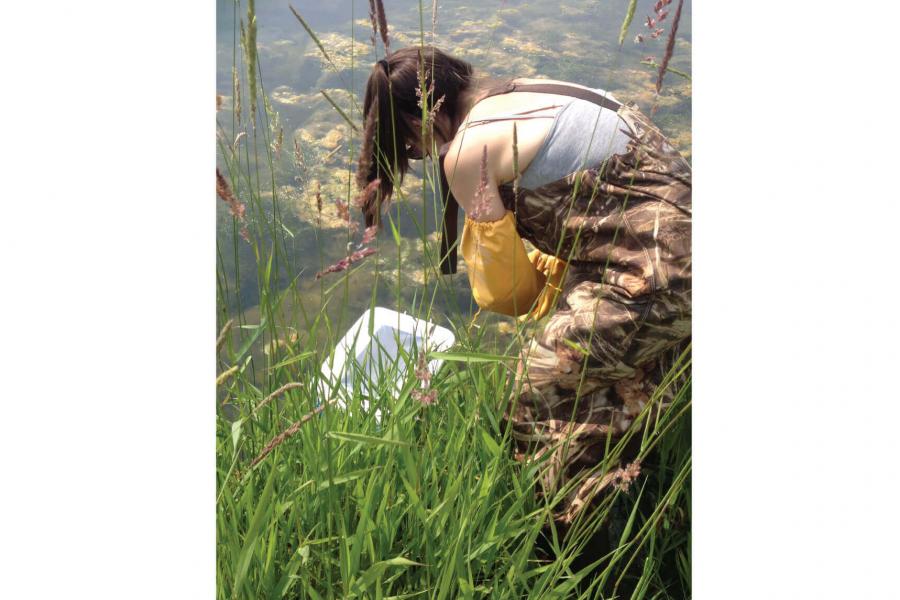 An aspiring environmentalist gathers sample water from the wetlands.