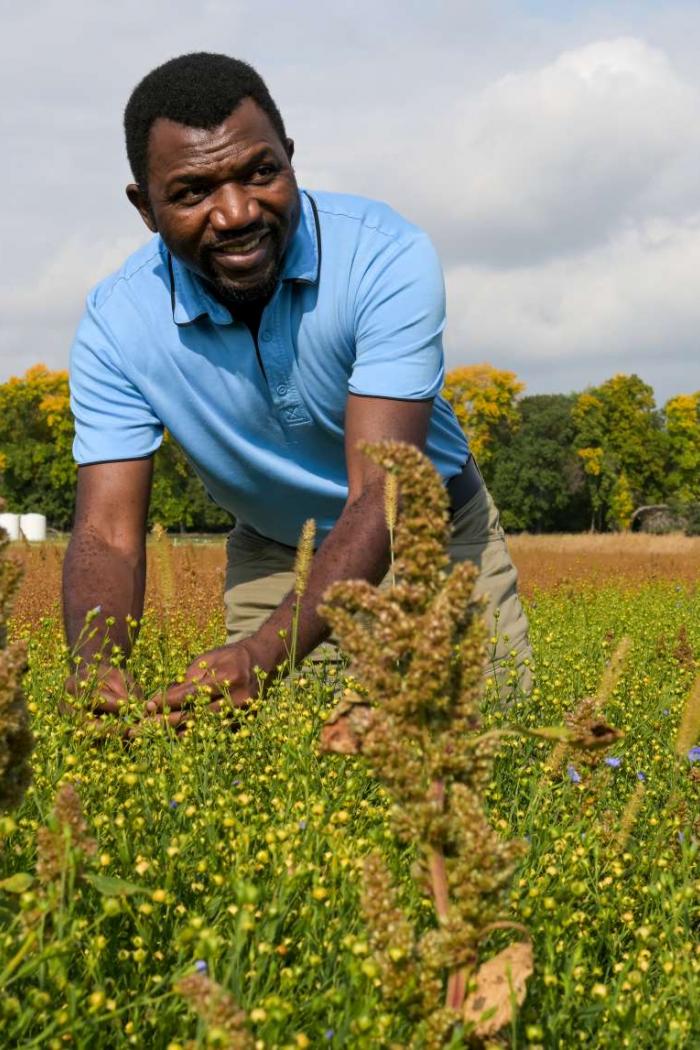 A man in an agricultural field bending to look at the crop.