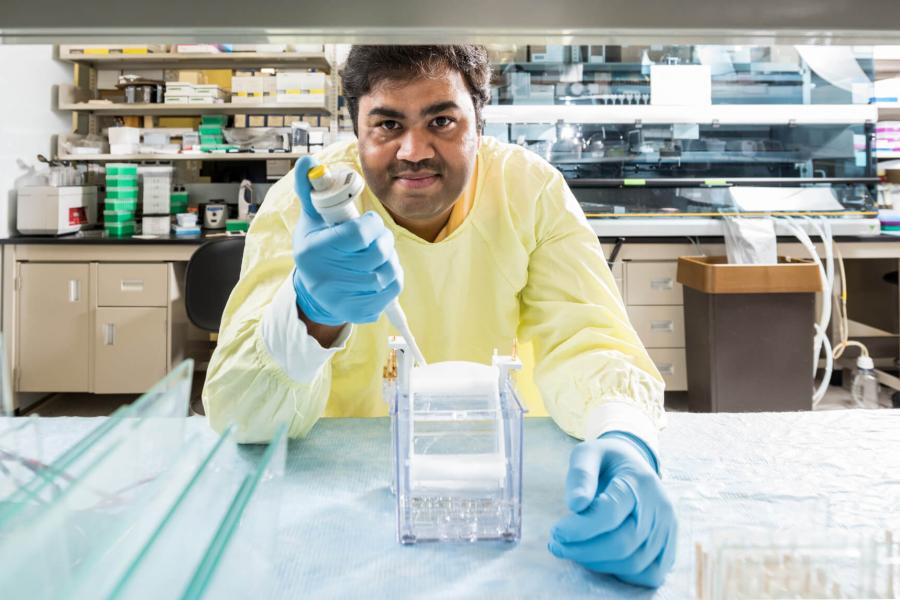 A researcher leans over a countertop working in a lab. 