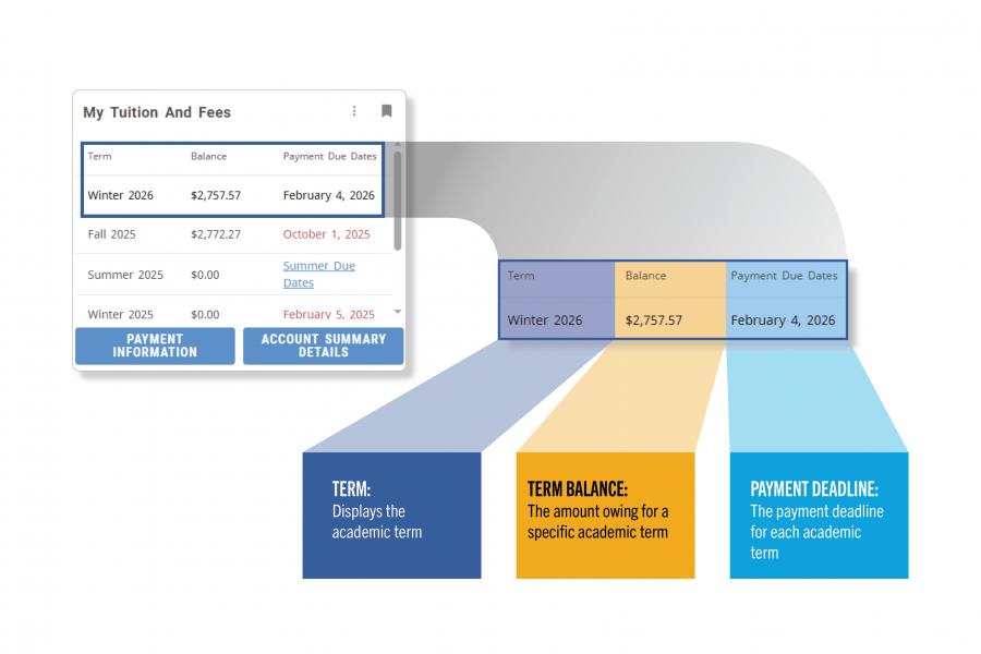 An infographic explaining the meaning of Term, Term balance and the payment deadline
