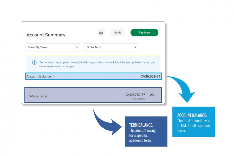 an infographic explaining the difference between term charges and the overall account balance.