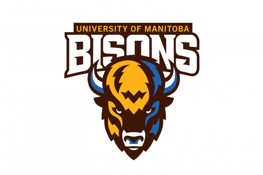 University of Manitoba Bisons logo featuring a bold, stylized bison head in brown, gold, and blue with sharp angles and a fierce expression. The word “BISONS” appears in large white letters above the head, with “University of Manitoba” in gold text on a dark brown banner above.