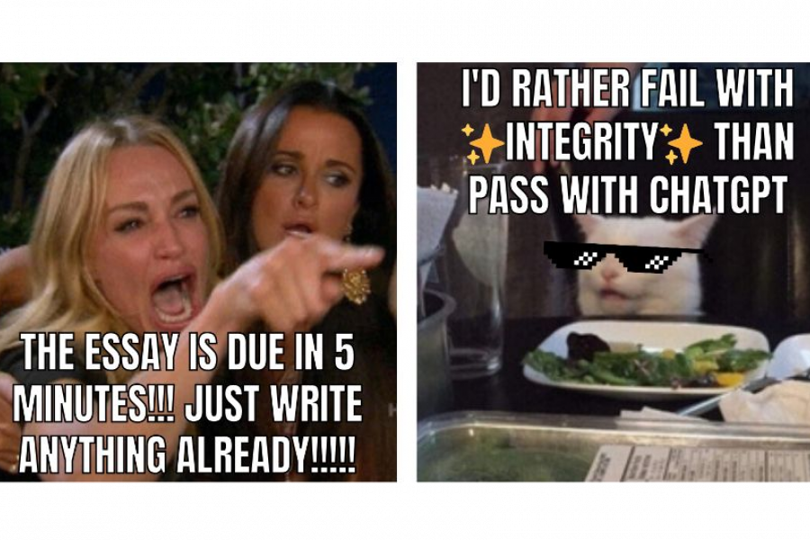 meme of a cat deciding to uphold academic integrity