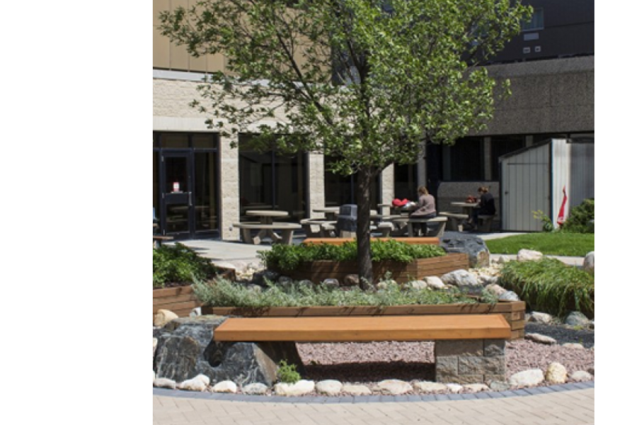 Mashkiki Gitigaan Medicine Garden in UM.