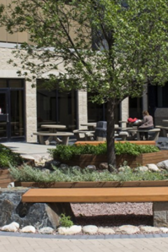 Mashkiki Gitigaan Medicine Garden in UM.